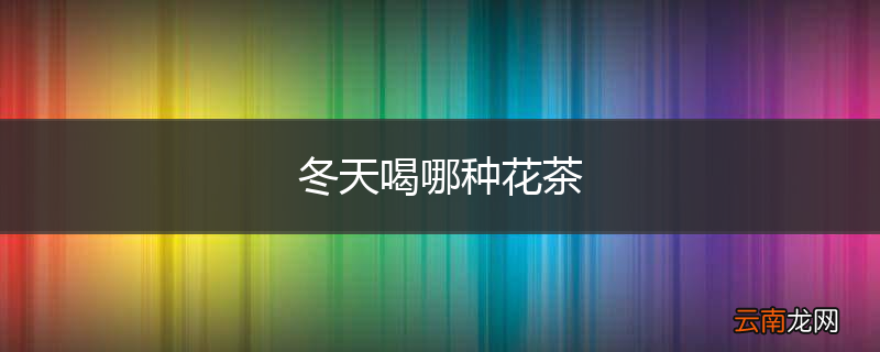 冬天喝哪种花茶