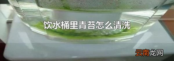 饮水桶里青苔怎么清洗
