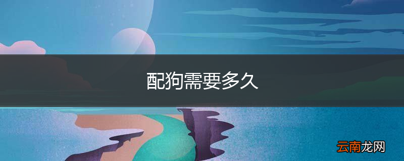 配狗需要多久