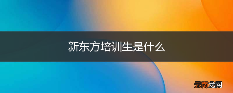 新东方培训生是什么