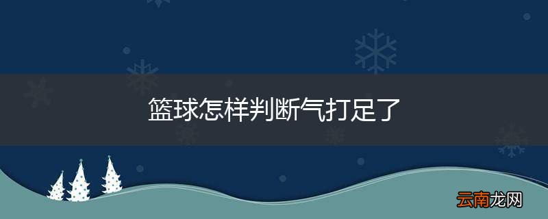 篮球怎样判断气打足了
