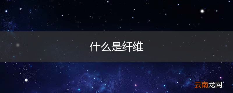 什么是纤维