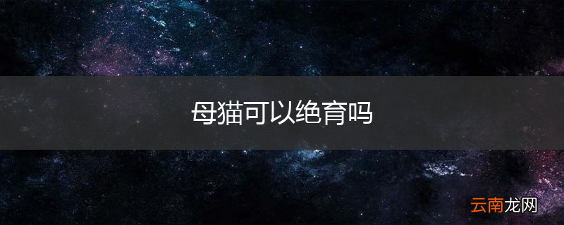 母猫可以绝育吗