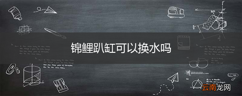 锦鲤趴缸可以换水吗