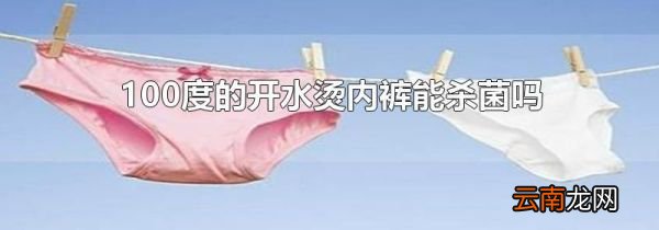 100度的开水烫内裤能杀菌吗