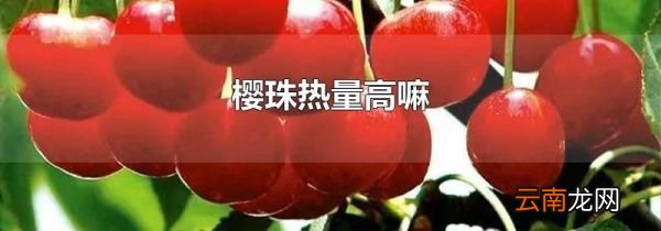 樱珠热量高嘛