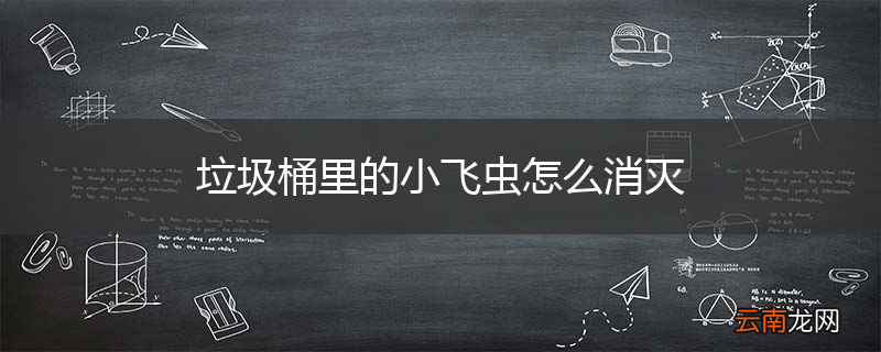 垃圾桶里的小飞虫怎么消灭