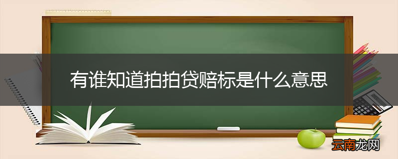 有谁知道拍拍贷赔标是什么意思