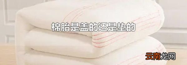 棉胎是盖的还是垫的