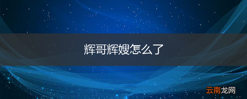 辉哥辉嫂怎么了
