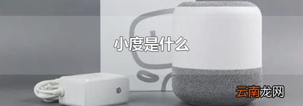 小度是什么