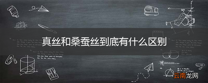 真丝和桑蚕丝到底有什么区别