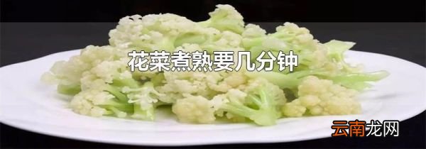 花菜煮熟要几分钟