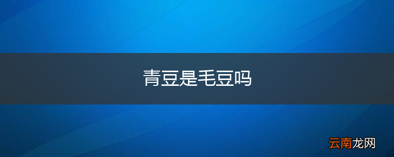 青豆是毛豆吗