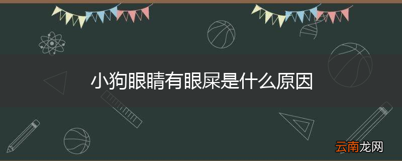 小狗眼睛有眼屎是什么原因