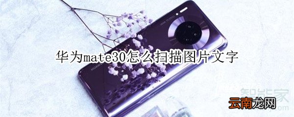 华为mate30怎么扫描图片文字