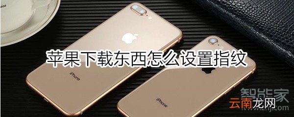 苹果下载东西怎么设置指纹