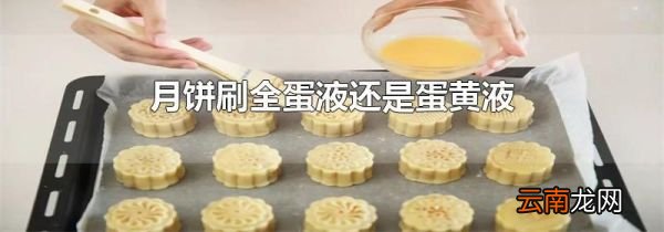月饼刷全蛋液还是蛋黄液