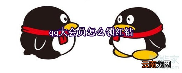 qq大会员怎么领红钻