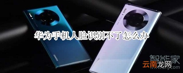 华为手机人脸识别不了怎么办