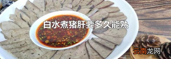 白水煮猪肝要多久能熟