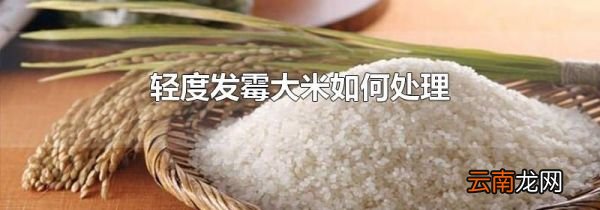 轻度发霉大米如何处理