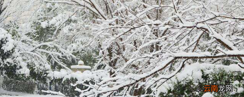 四毫米雪是多厚