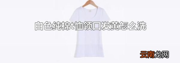 白色纯棉t恤领口发黄怎么洗