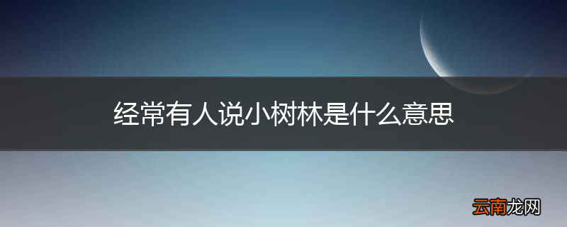 经常有人说小树林是什么意思