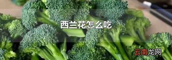 西兰花怎么吃