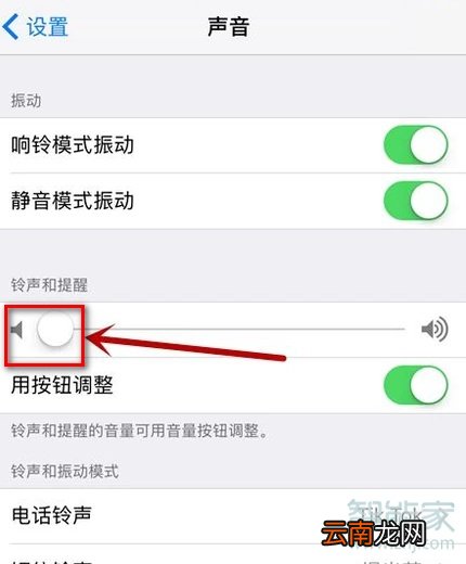 苹果外放声音怎么调大