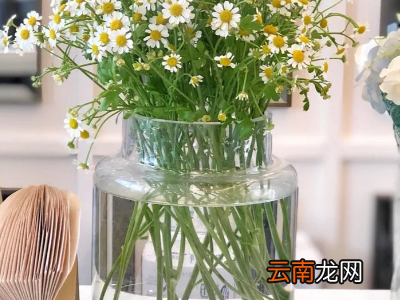 鲜花怎么保鲜