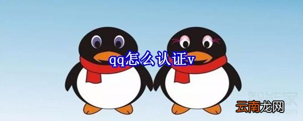 qq怎么认证v