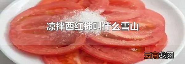 凉拌西红柿叫什么雪山