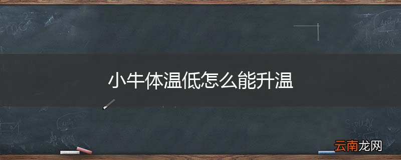 小牛体温低怎么能升温