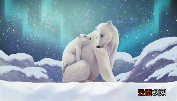 北极熊冬眠 北极熊冬眠吗