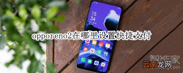 opporeno2在哪里设置快捷支付