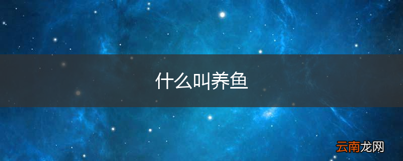 什么叫养鱼
