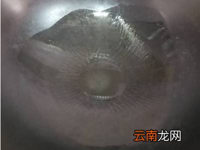 池塘大贝壳的做法