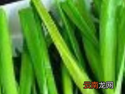 池塘大贝壳的做法