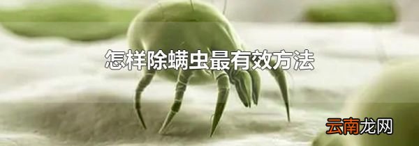 怎样除螨虫最有效方法