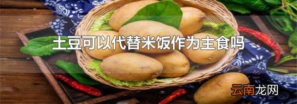 土豆可以代替米饭作为主食吗