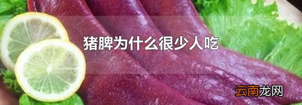 猪脾为什么很少人吃