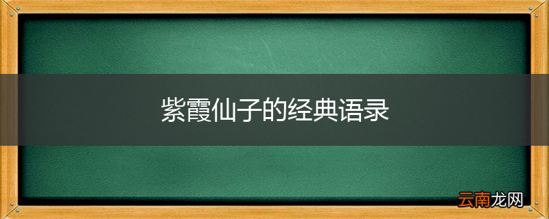 紫霞仙子的经典语录