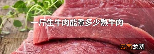 一斤生牛肉能煮多少熟牛肉
