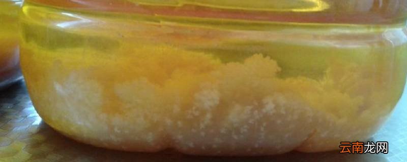 花生油底部的白色沉淀物是什么