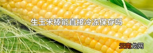 生玉米棒能直接冷冻保存吗