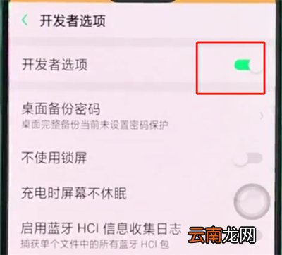 oppor15中开启开发者选项的详细步骤