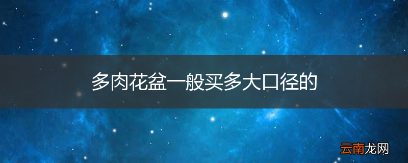 多肉花盆一般买多大口径的