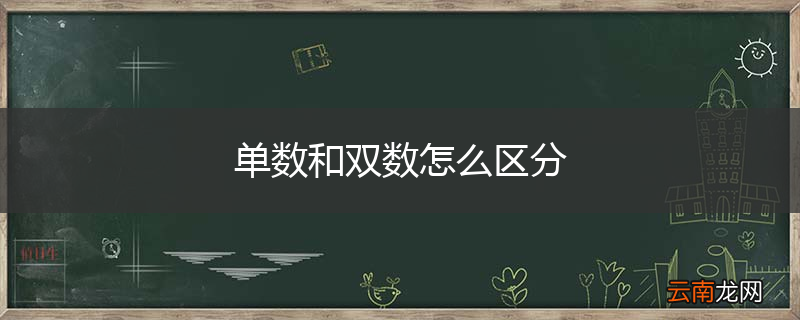 单数和双数怎么区分